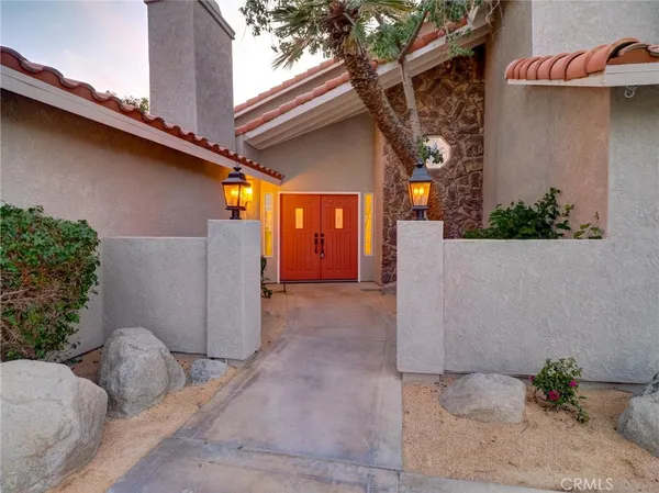 a close up of a plant in a garden