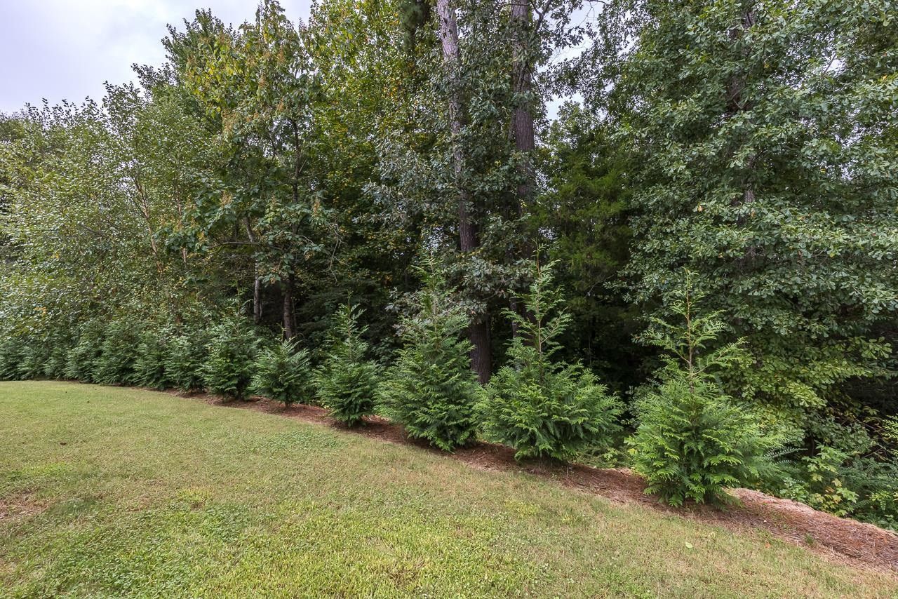 3417 Grosbeak Way Raleigh, NC 27616 - Photo 25 of 27 Photo 25