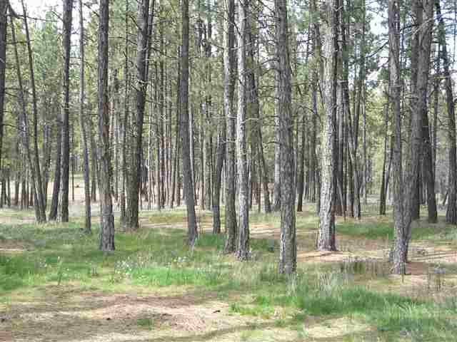 12202 South Sherman Road Spokane, WA 99224 - Photo 8 of 9