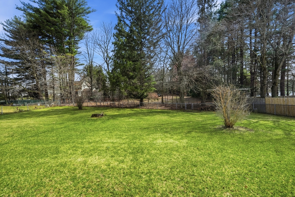 15 Kingoke Lane Springfield, MA 01129 - Photo 9 of 24