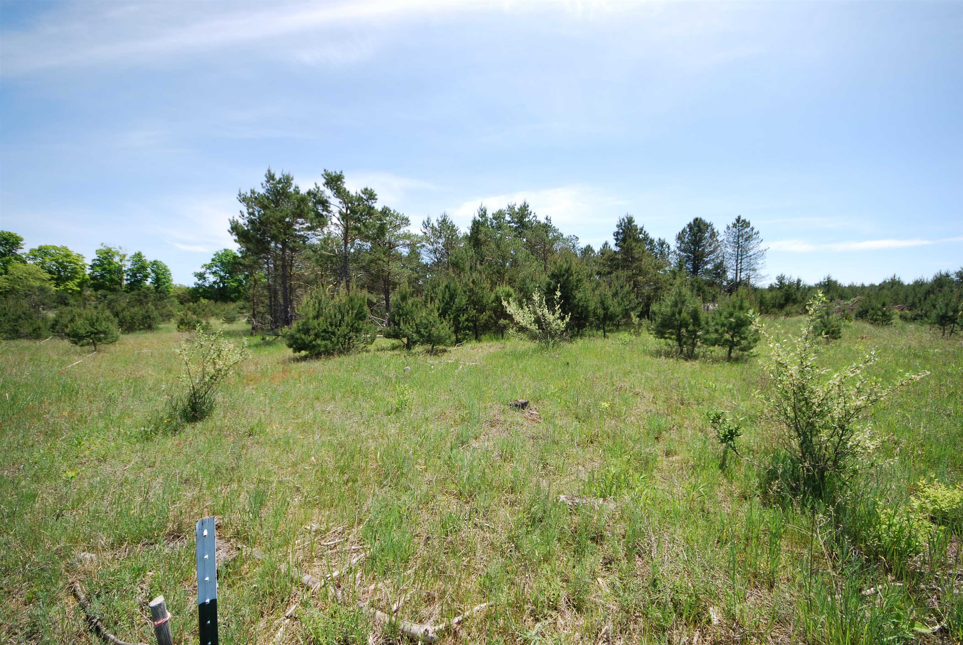 Southeast Riley Road Southeast Kalkaska, MI 49646 - Photo 5 of 7 1922305-ae91c768-0128-4618-8f99-a6def4f72507.JPG