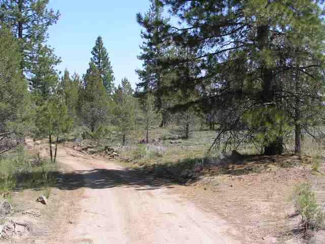 0 Ivory Pine Road Bly, OR 97622 - Photo 1 of 4 Primary Photo