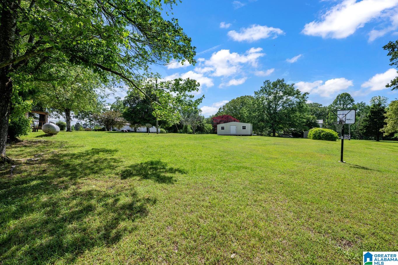 5057 Jim Goggans Road Dora, AL 35062 - Photo 6 of 34