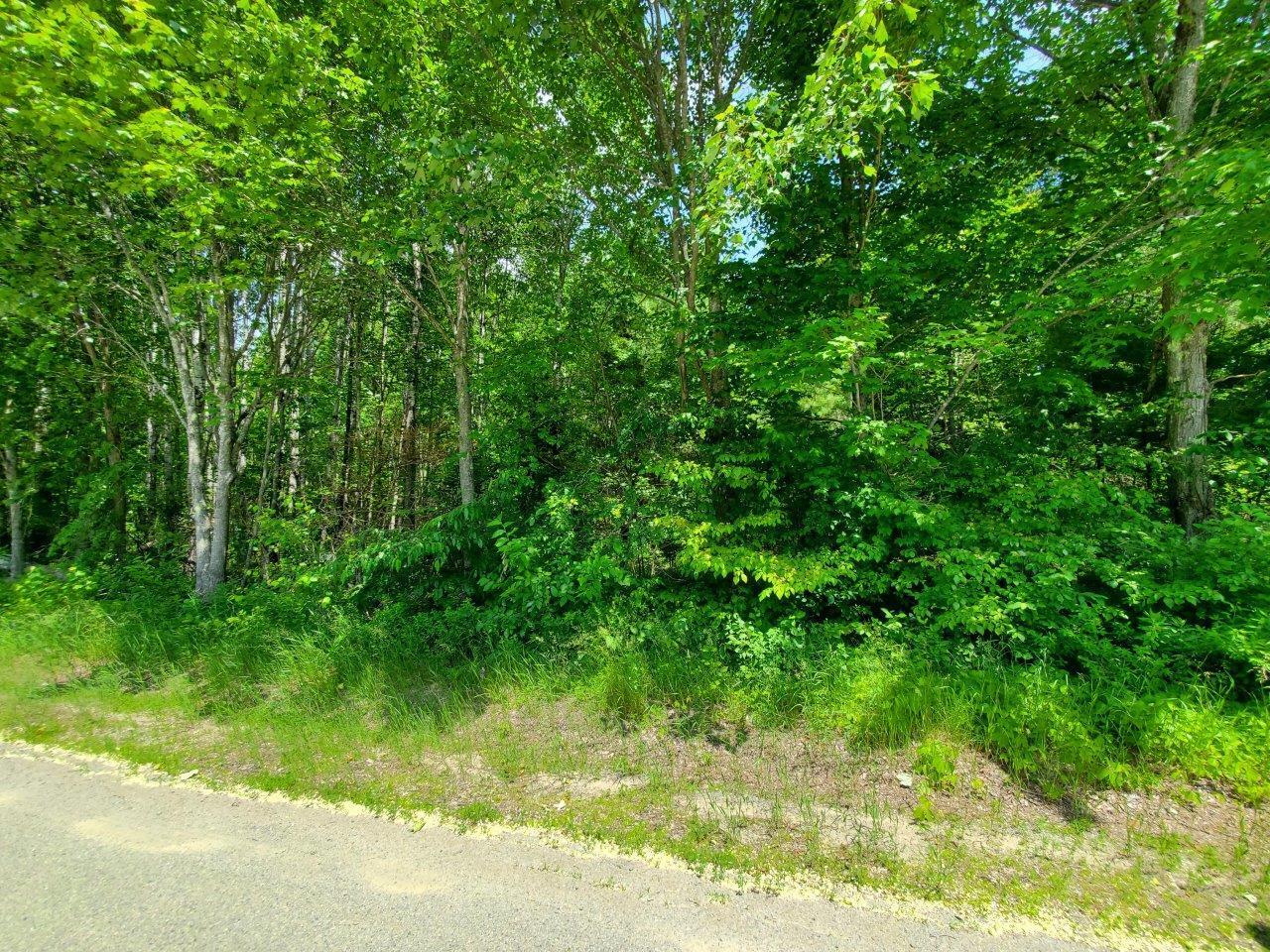 0 Morgan Road Burnham, ME 04922 - Photo 62 of 69 20250617_130817