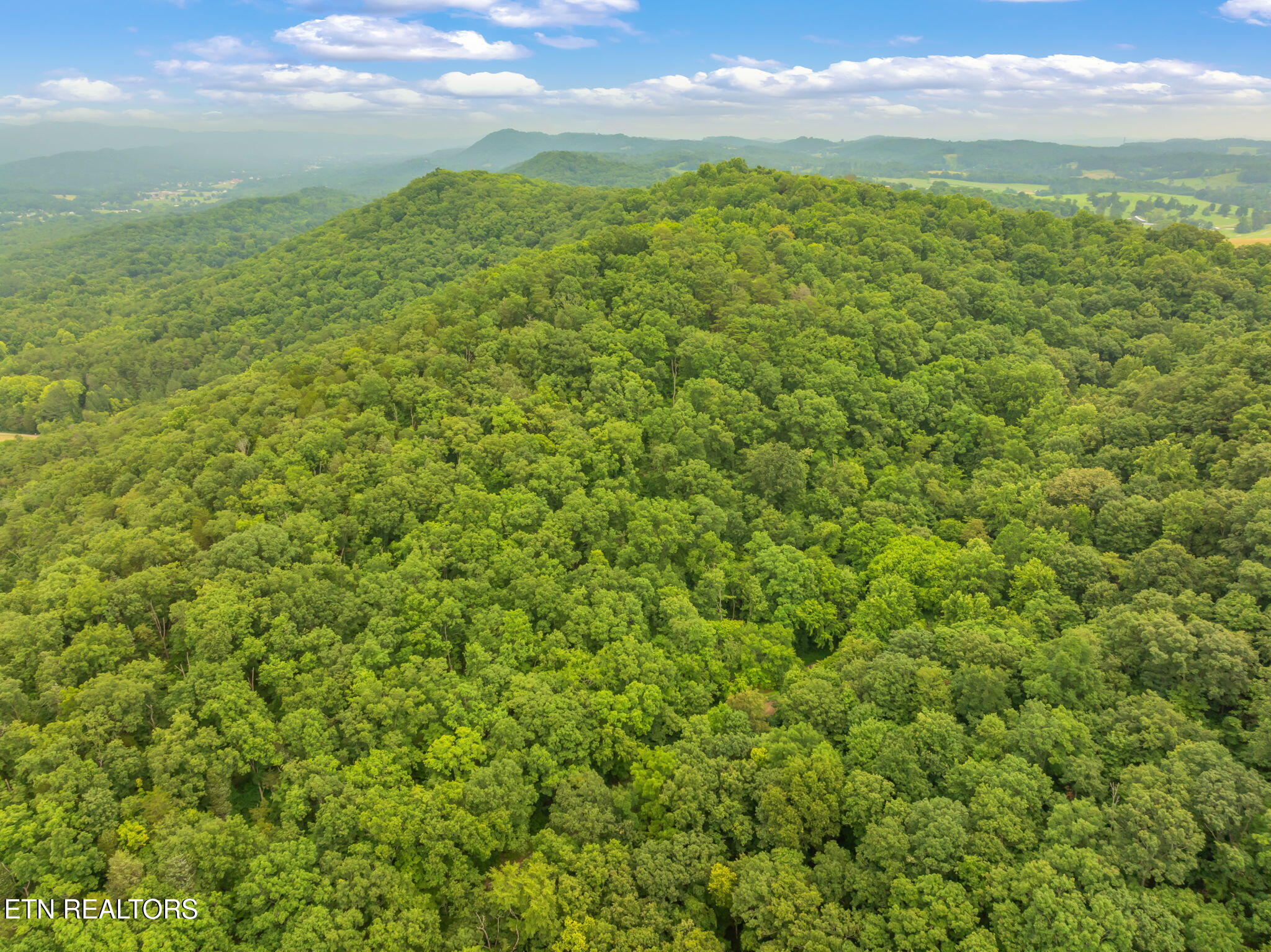Dunville Gap Road Rutledge, TN 37861 - Photo 11 of 20 12-web-or-mls-Dunville Gap Road-3