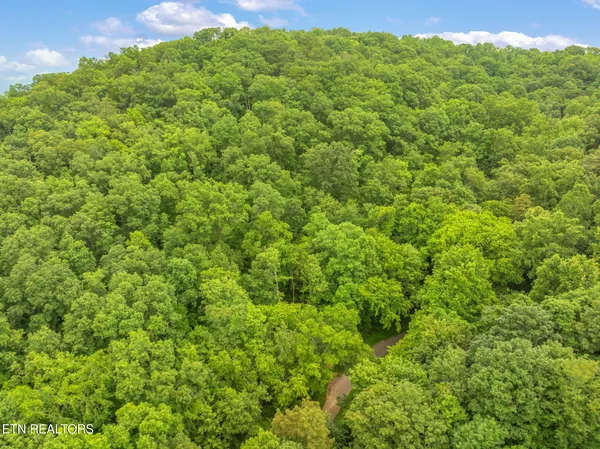 $75,000 | Dunville Gap Road, Rutledge, TN 37861