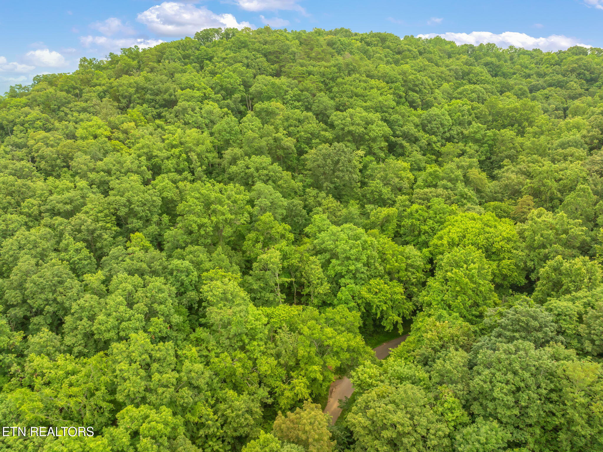 Dunville Gap Road Rutledge, TN 37861 - Photo 15 of 20 16-web-or-mls-Dunville Gap Road-15