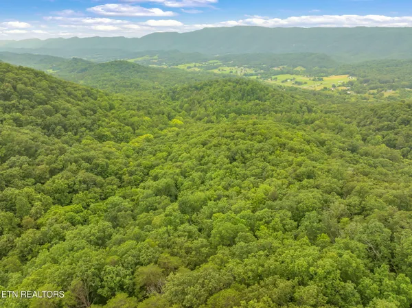 $75,000 | Dunville Gap Road, Rutledge, TN 37861