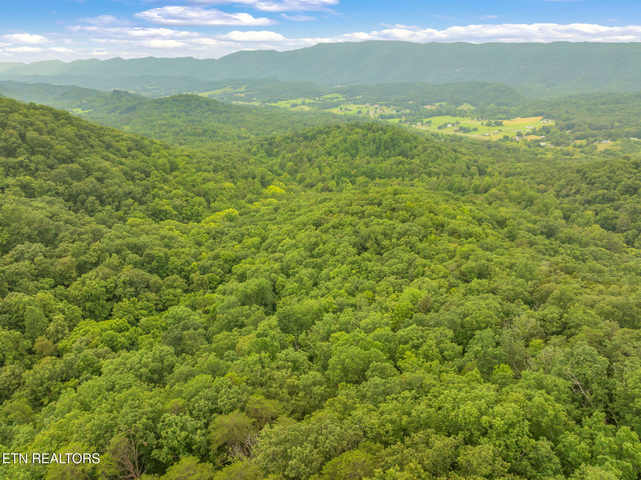 Dunville Gap Road Rutledge, TN 37861 - Photo 16 of 20 19-web-or-mls-Dunville Gap Road-11