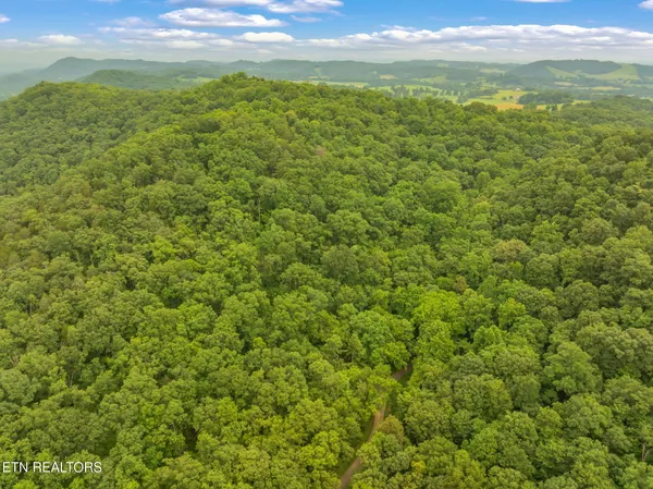 $75,000 | Dunville Gap Road, Rutledge, TN 37861