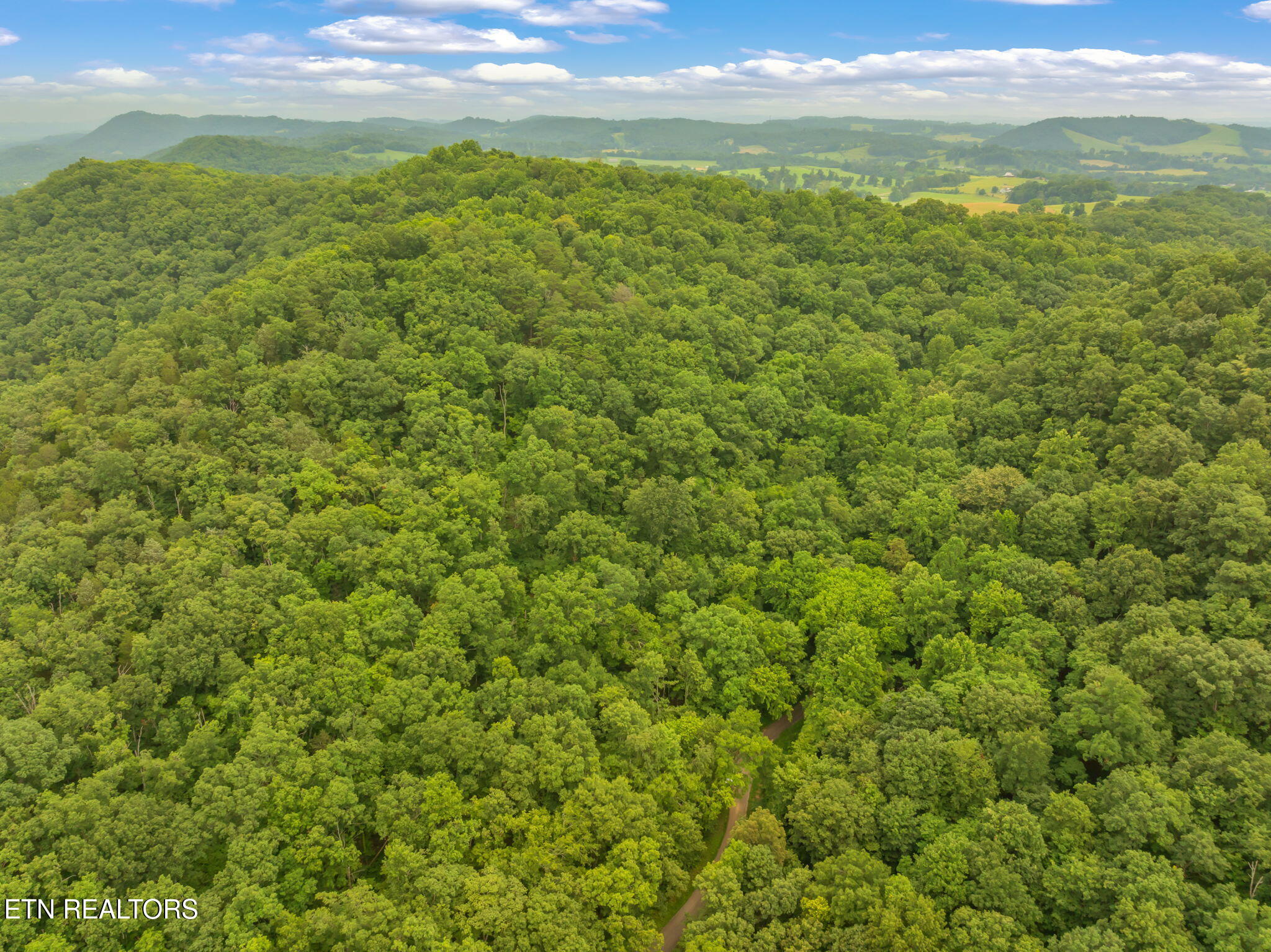 Dunville Gap Road Rutledge, TN 37861 - Photo 17 of 20 20-web-or-mls-Dunville Gap Road