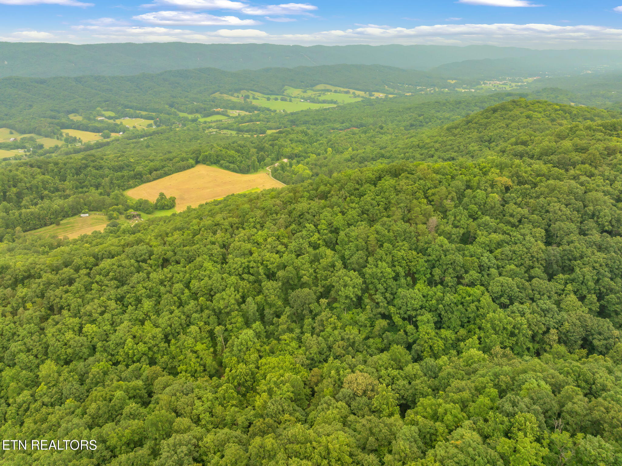 Dunville Gap Road Rutledge, TN 37861 - Photo 18 of 20 21-web-or-mls-Dunville Gap Road-8