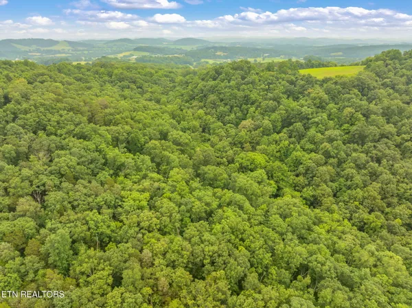 $75,000 | Dunville Gap Road, Rutledge, TN 37861