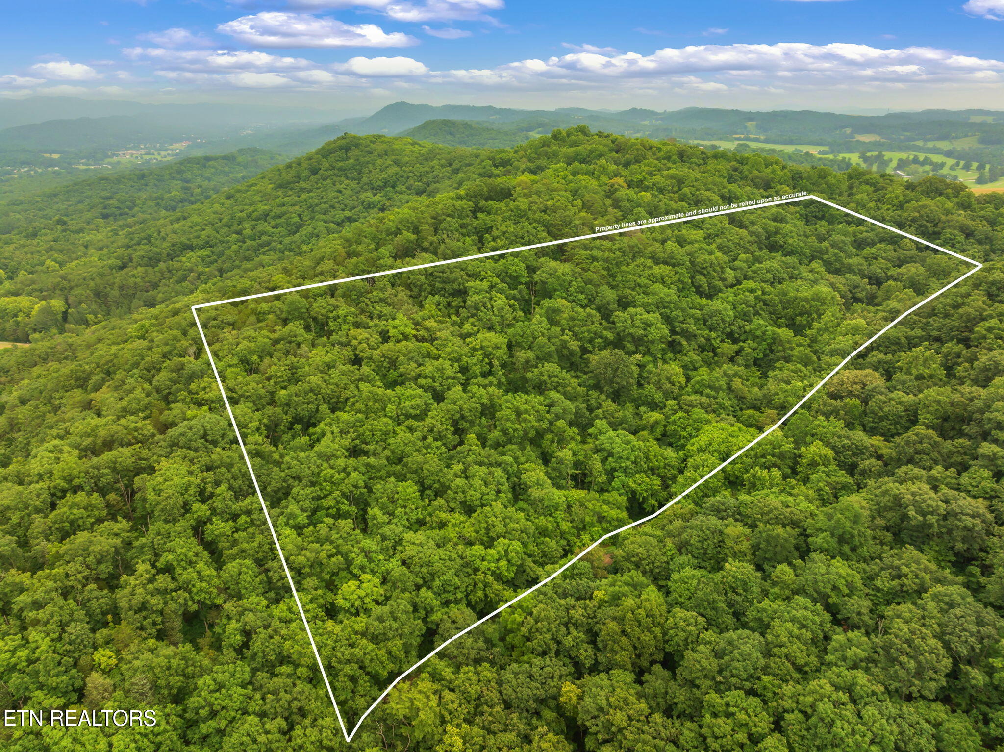 Dunville Gap Road Rutledge, TN 37861 - Photo 2 of 20 1-web-or-mls-Dunville Gap Road-3-1