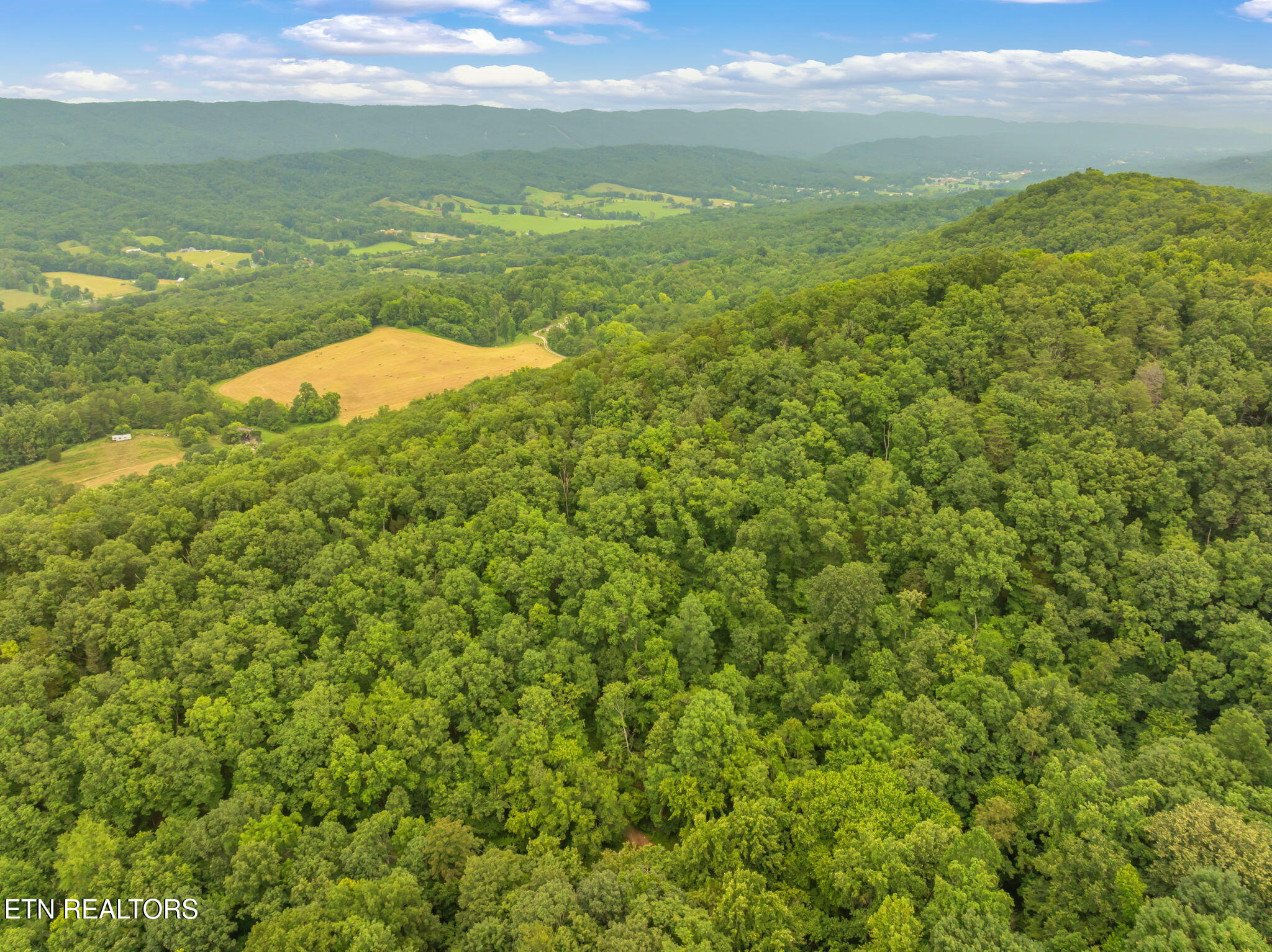 Dunville Gap Road Rutledge, TN 37861 - Photo 3 of 20 2-web-or-mls-Dunville Gap Road-4