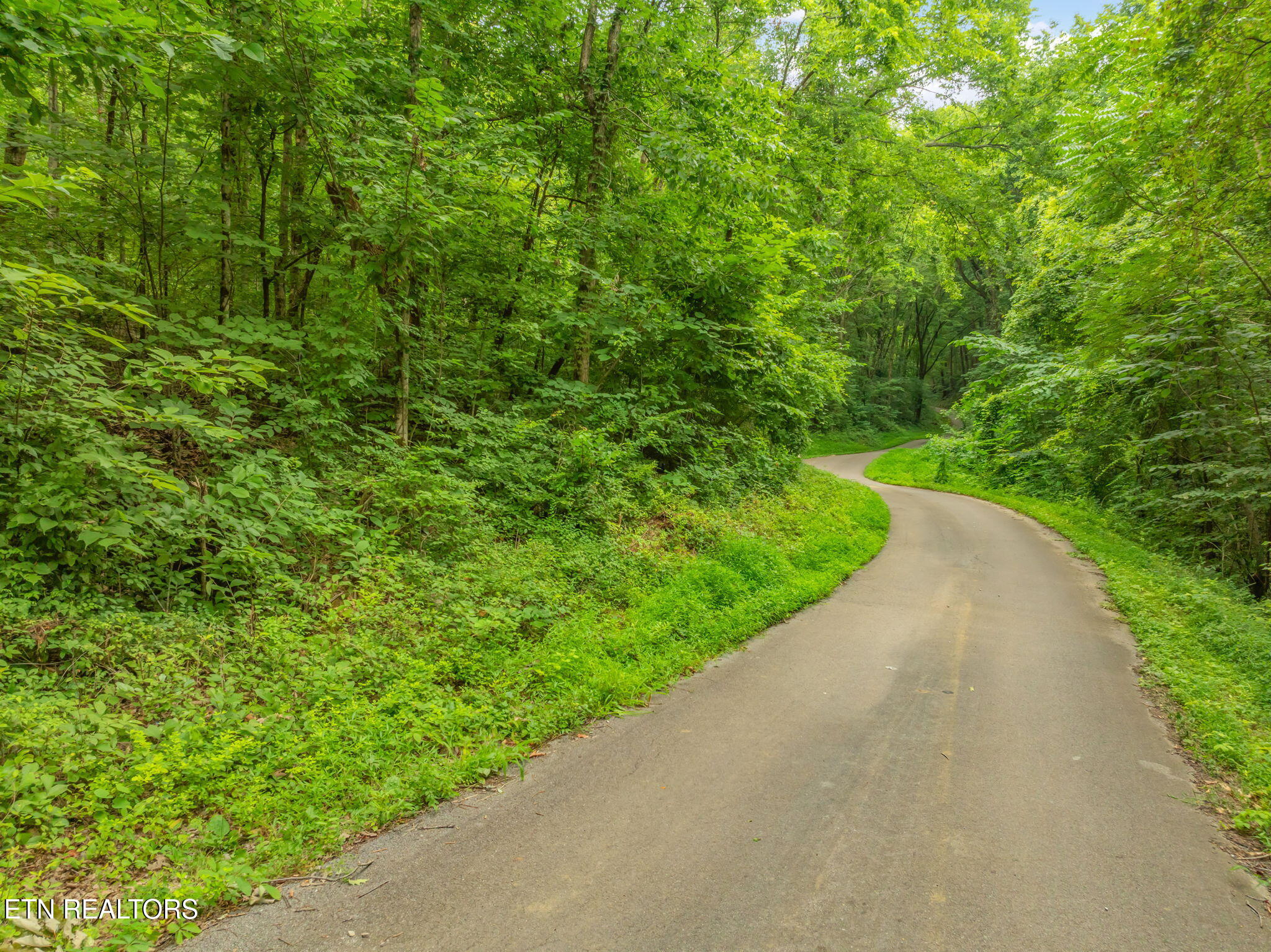 Dunville Gap Road Rutledge, TN 37861 - Photo 4 of 20 3-web-or-mls-Dunville Gap Road-22