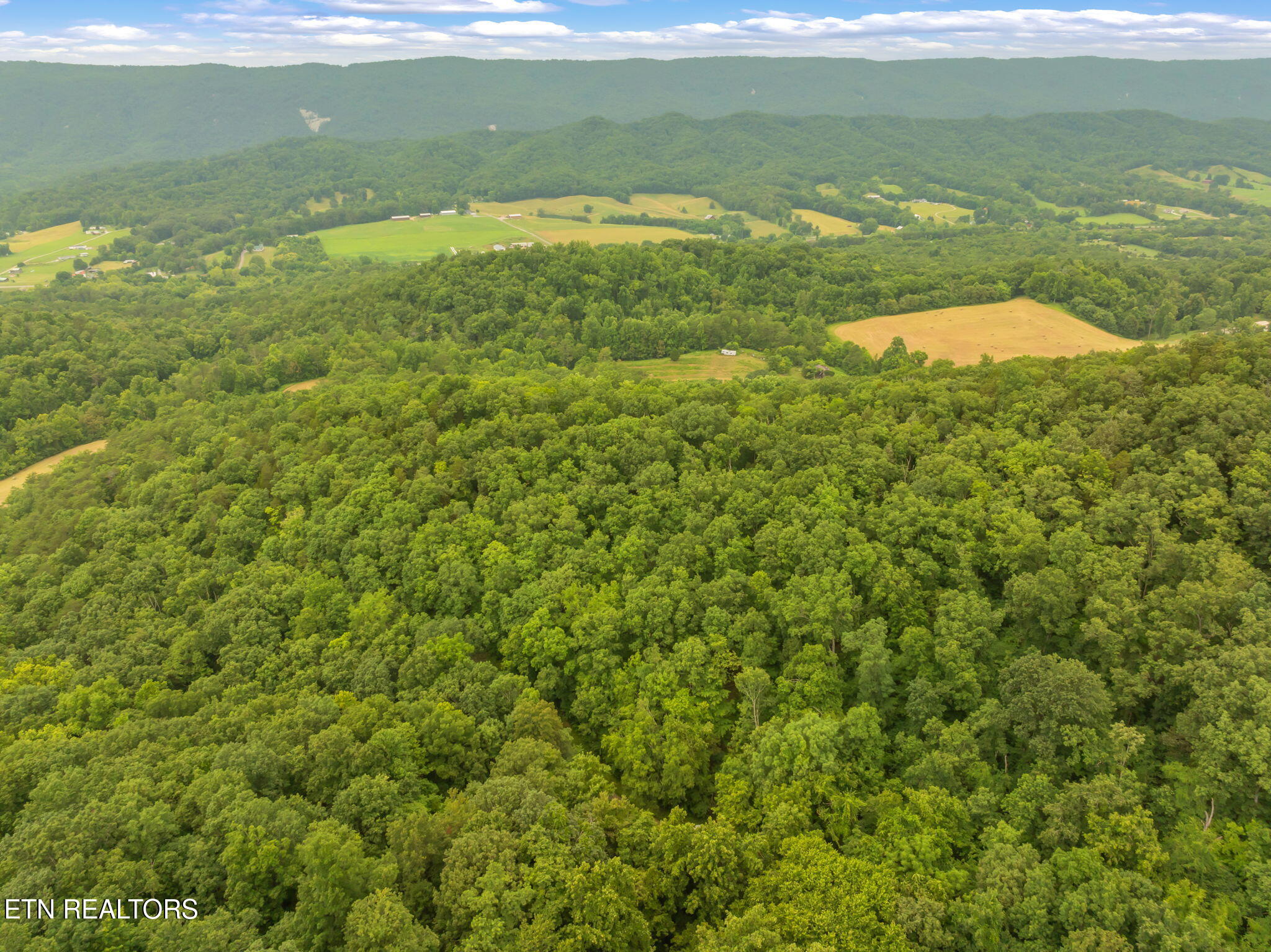 Dunville Gap Road Rutledge, TN 37861 - Photo 5 of 20 4-web-or-mls-Dunville Gap Road-5