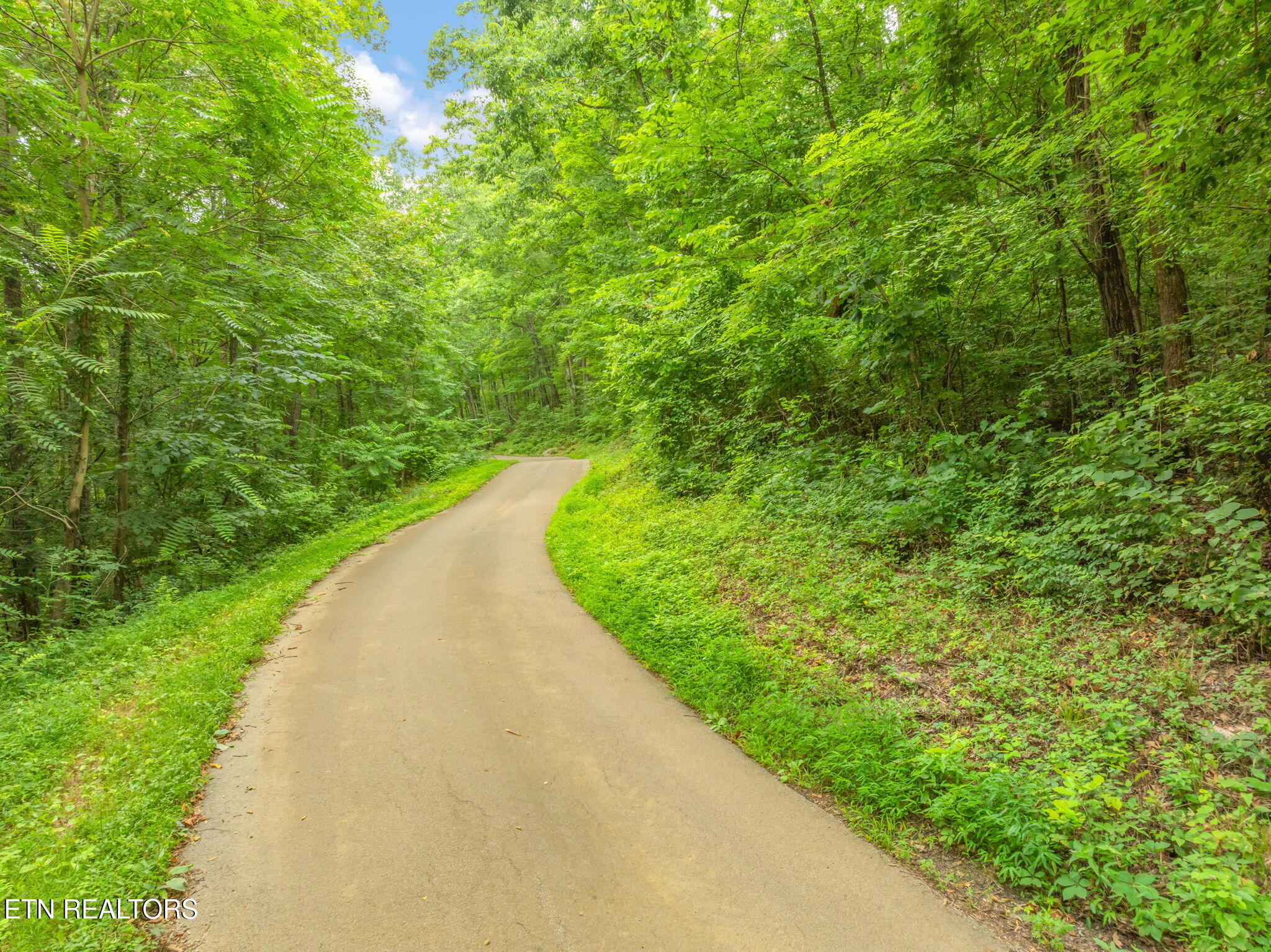 Dunville Gap Road Rutledge, TN 37861 - Photo 6 of 20 6-web-or-mls-Dunville Gap Road-20