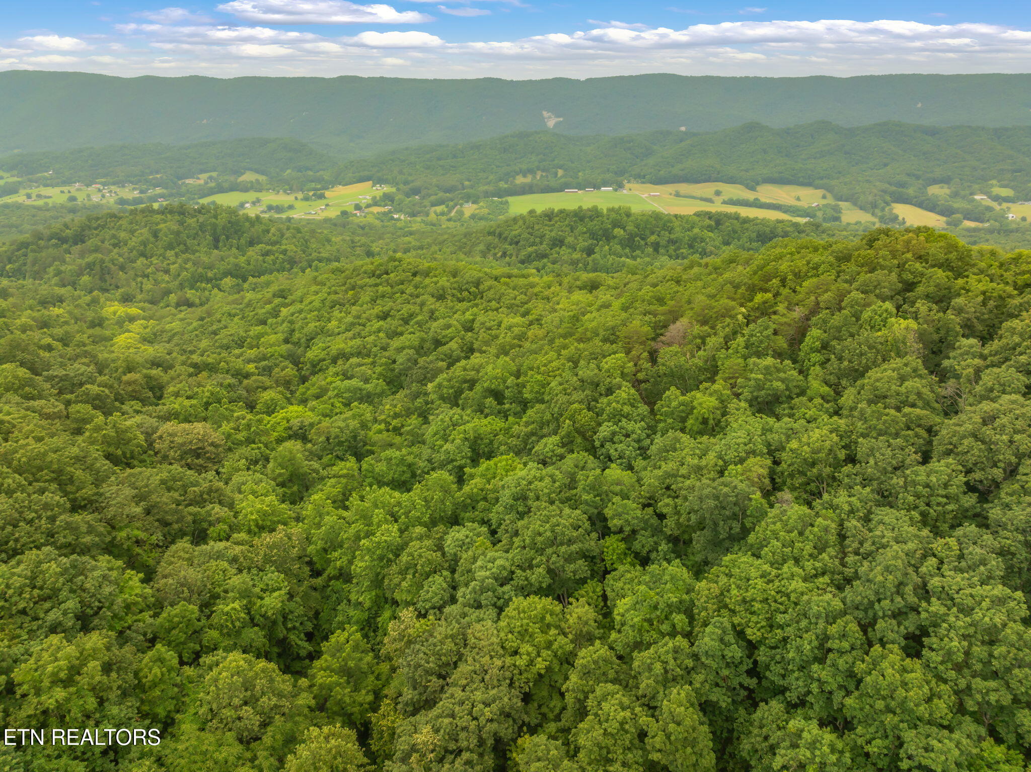 Dunville Gap Road Rutledge, TN 37861 - Photo 8 of 20 8-web-or-mls-Dunville Gap Road-6