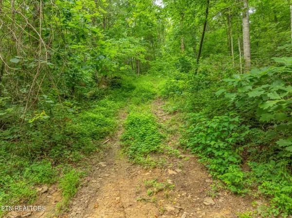 $75,000 | Dunville Gap Road, Rutledge, TN 37861