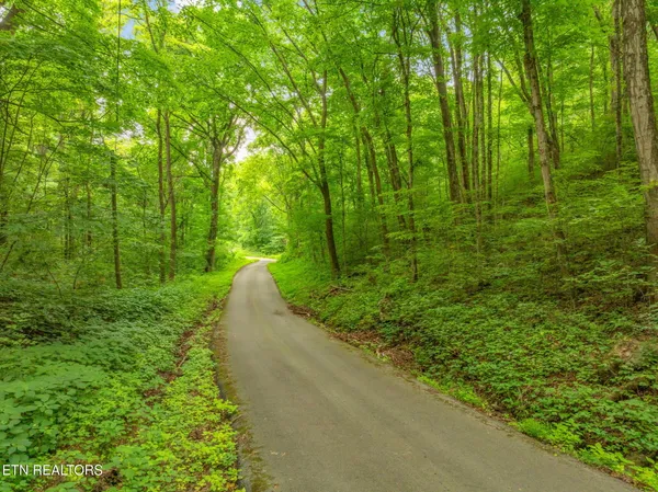 $75,000 | Dunville Gap Road, Rutledge, TN 37861