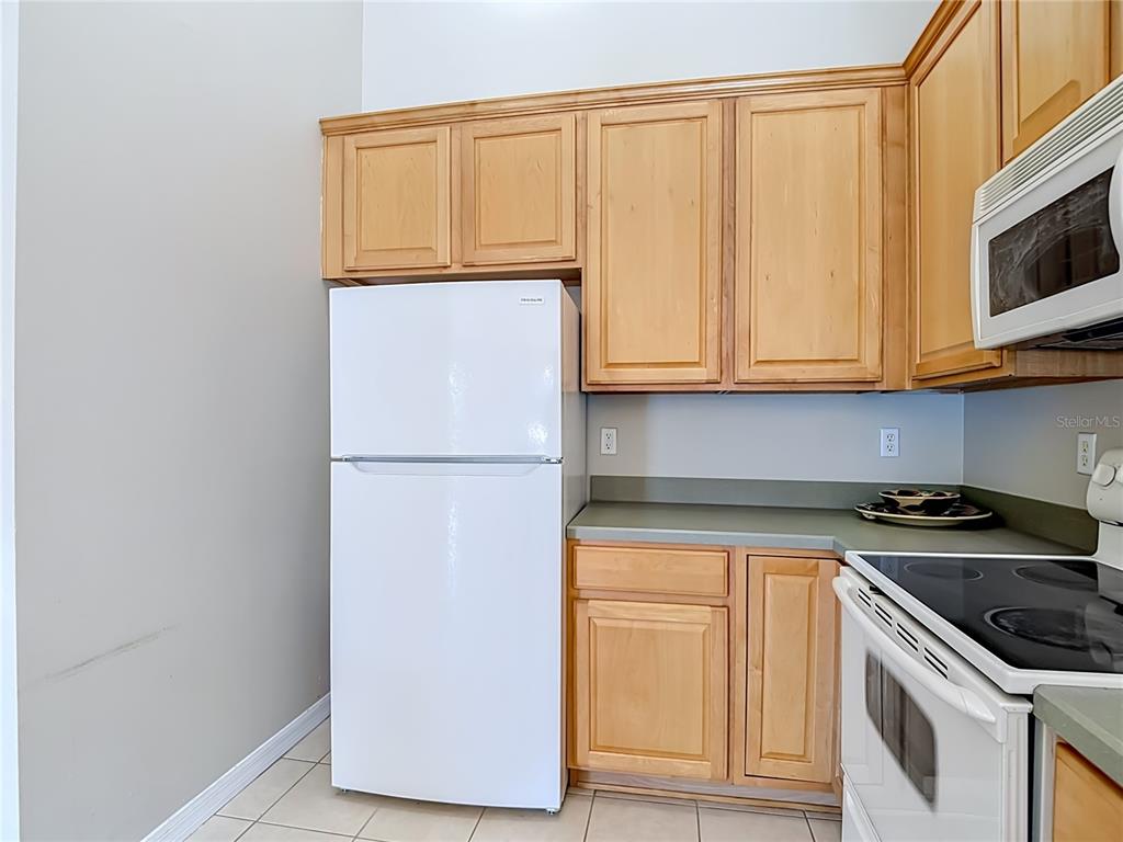 27901 Pleasure Ride Loop Wesley Chapel, FL 33544 - Photo 16 of 44