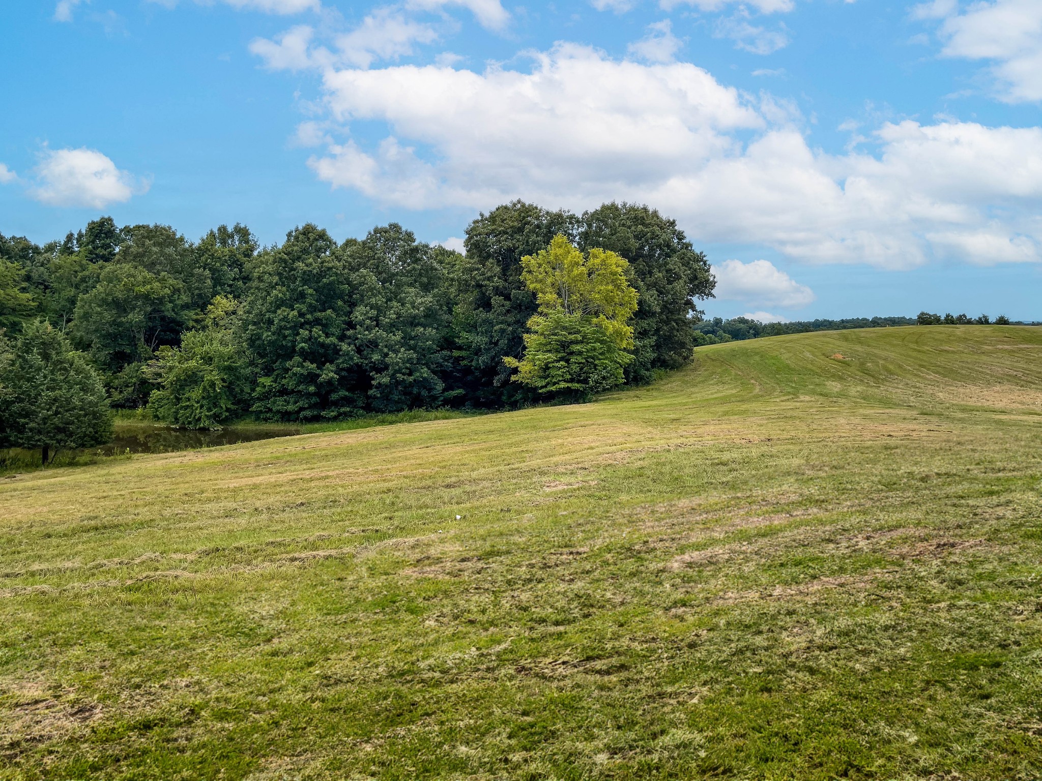 320 Wilson Hollow Road Dickson, TN 37055 - Photo 4 of 22 Gallery Image 4