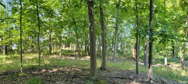 $125,000 | 600 North Shelburn In 47849, Shelburn, IN 47879