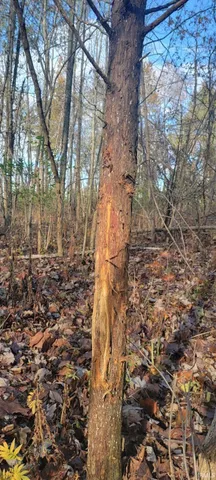 $125,000 | 600 North Shelburn In 47849, Shelburn, IN 47879