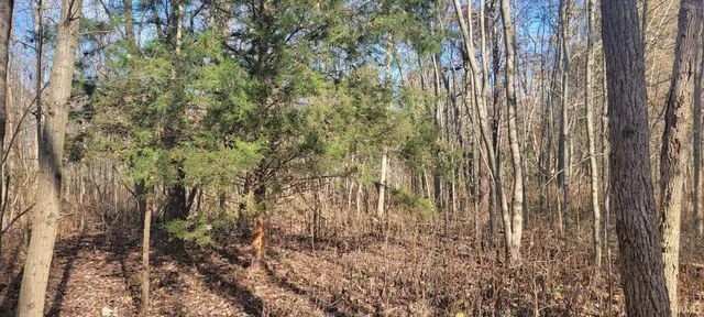 $125,000 | 600 North Shelburn In 47849, Shelburn, IN 47879