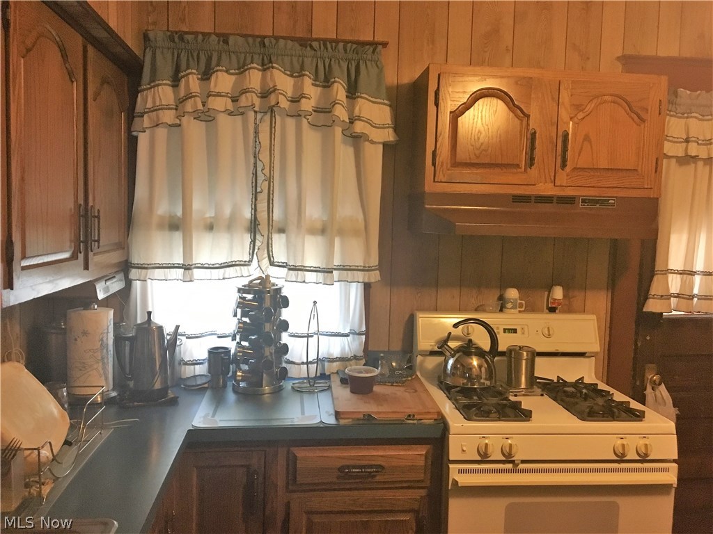 1882 Rosemont Road Cleveland, OH 44112 - Photo 8 of 19