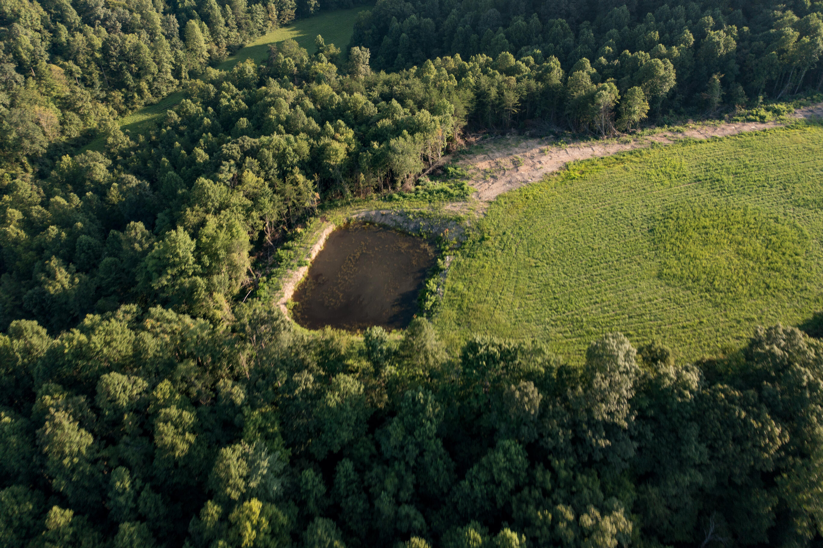 1522 Johnson Fork Road Campton, KY 41301 - Photo 98 of 102 DJI_0051