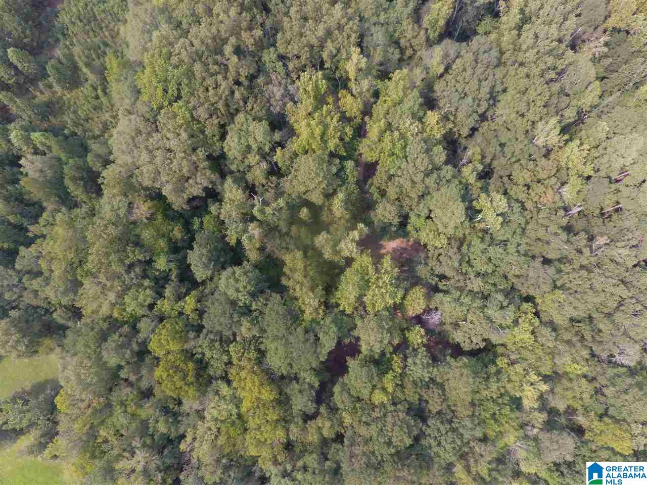 0 Brooks Road Ragland, AL 35131 - Photo 46 of 49