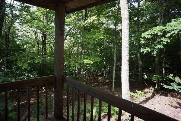 17 Hunters Ridge Dunmore, WV 24934 - Photo 25 of 26 Gallery Image 25