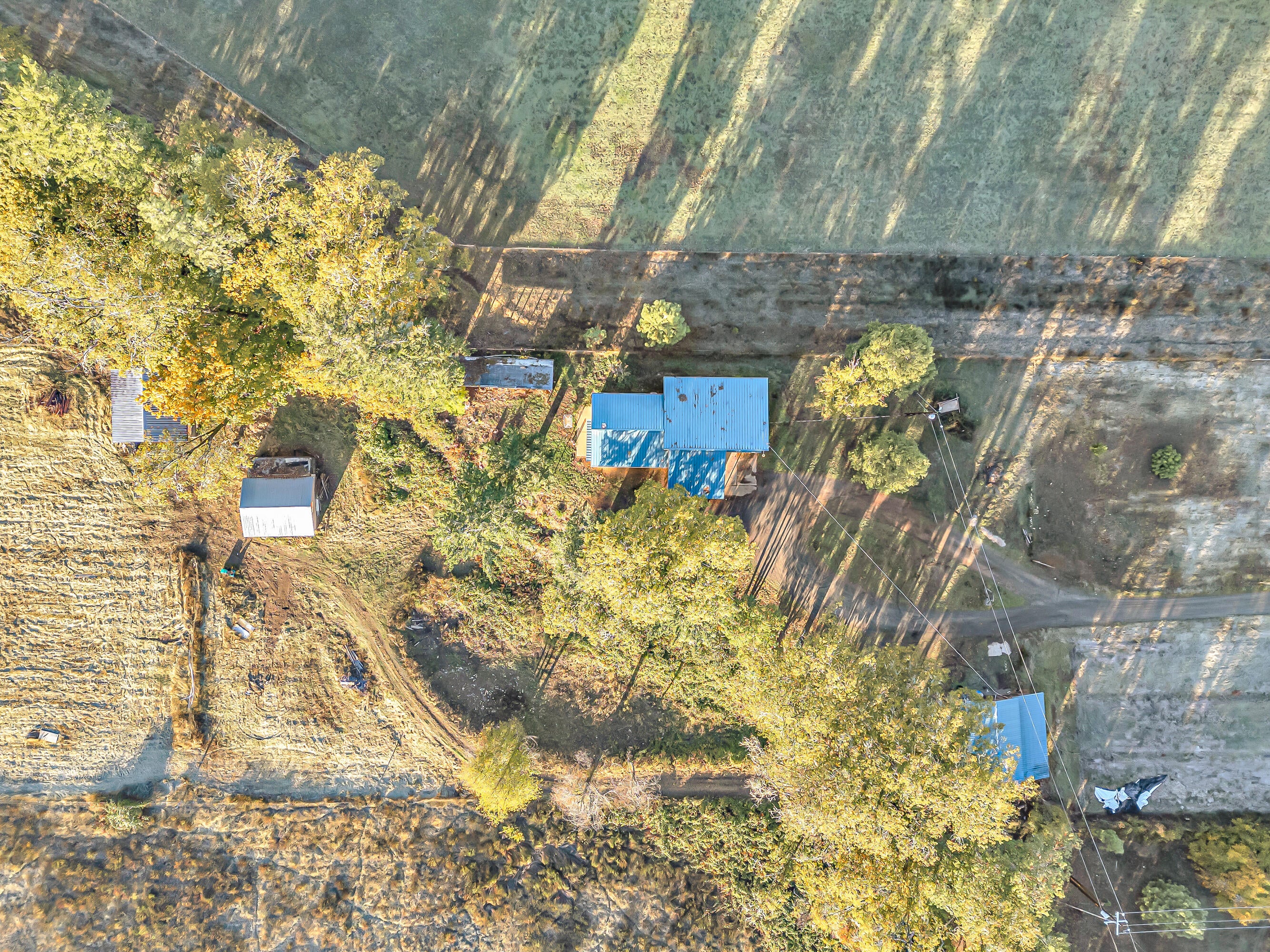 570 Garner Road Cave Junction, OR 97523 - Photo 41 of 50 DJI_20251020083522_0025_D