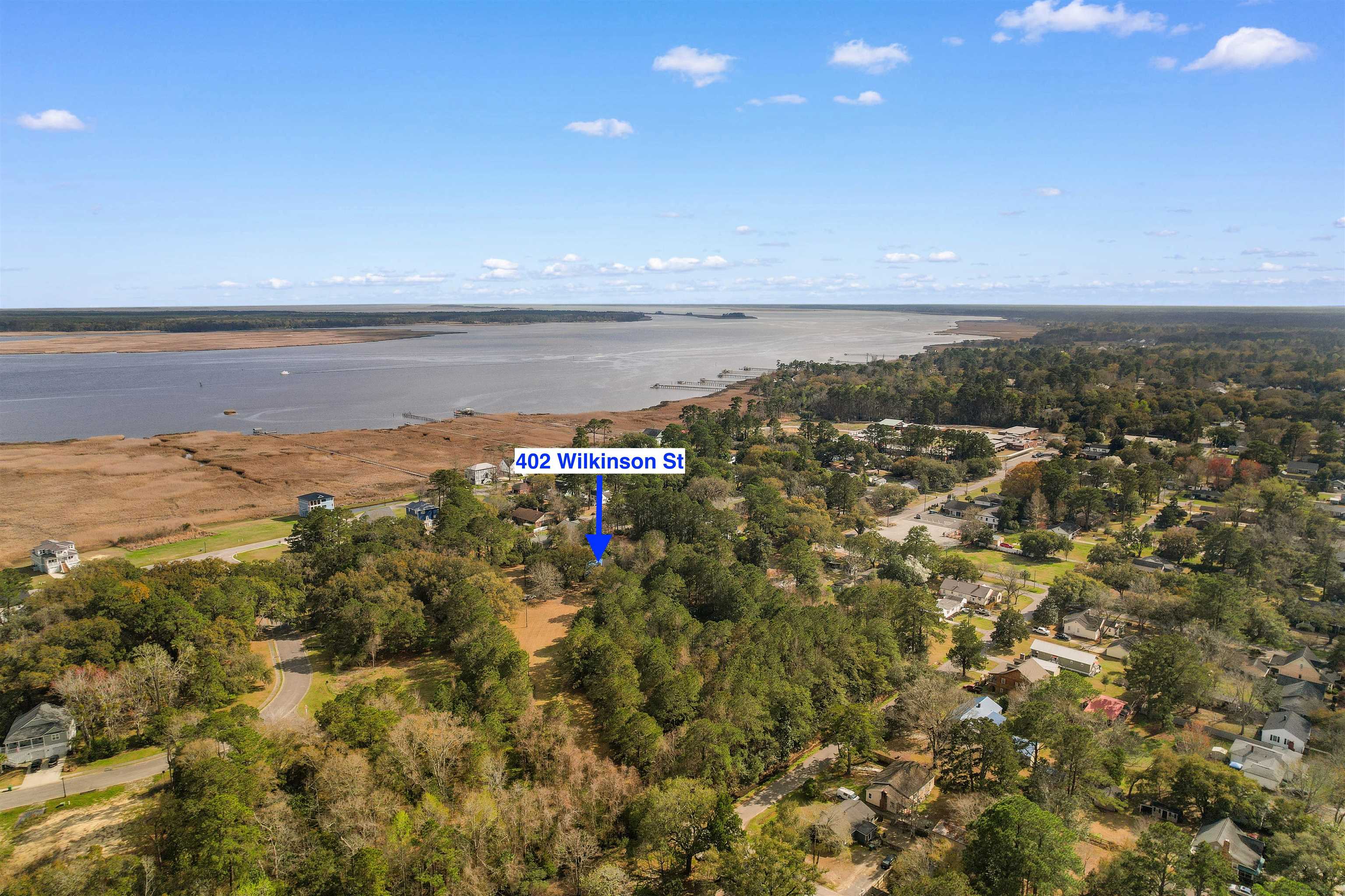 402 Wilkinson Street Georgetown, SC 29440 - Photo 42 of 47
