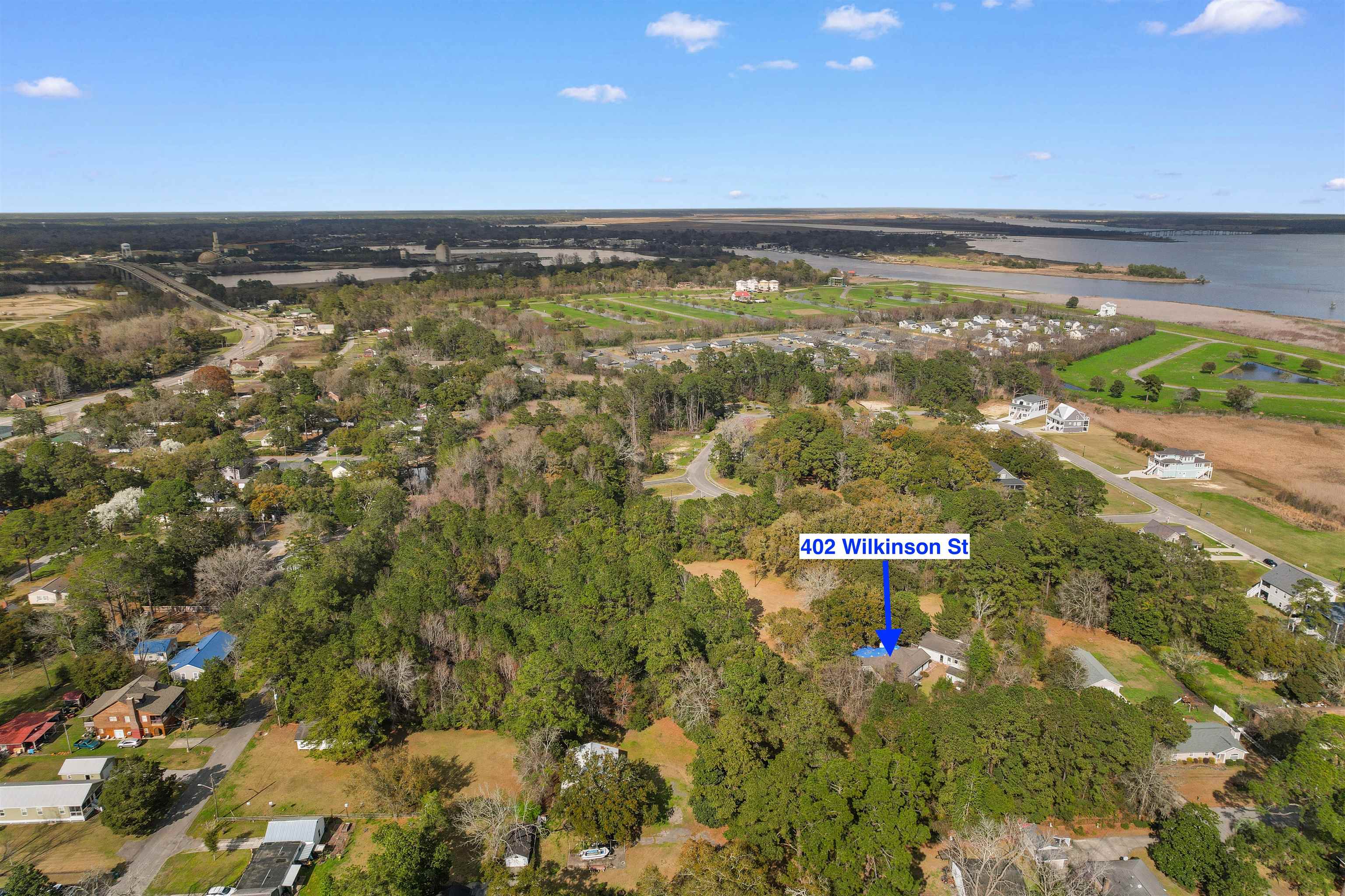 402 Wilkinson Street Georgetown, SC 29440 - Photo 44 of 47