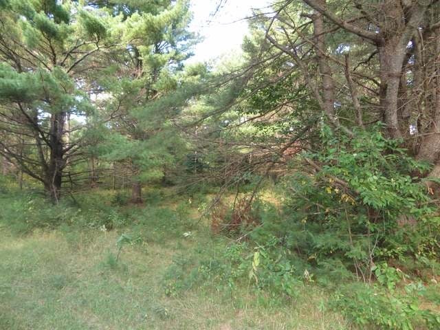 On Helmar Road Minocqua, WI 54548 - Photo 12 of 13 Gallery Image 12