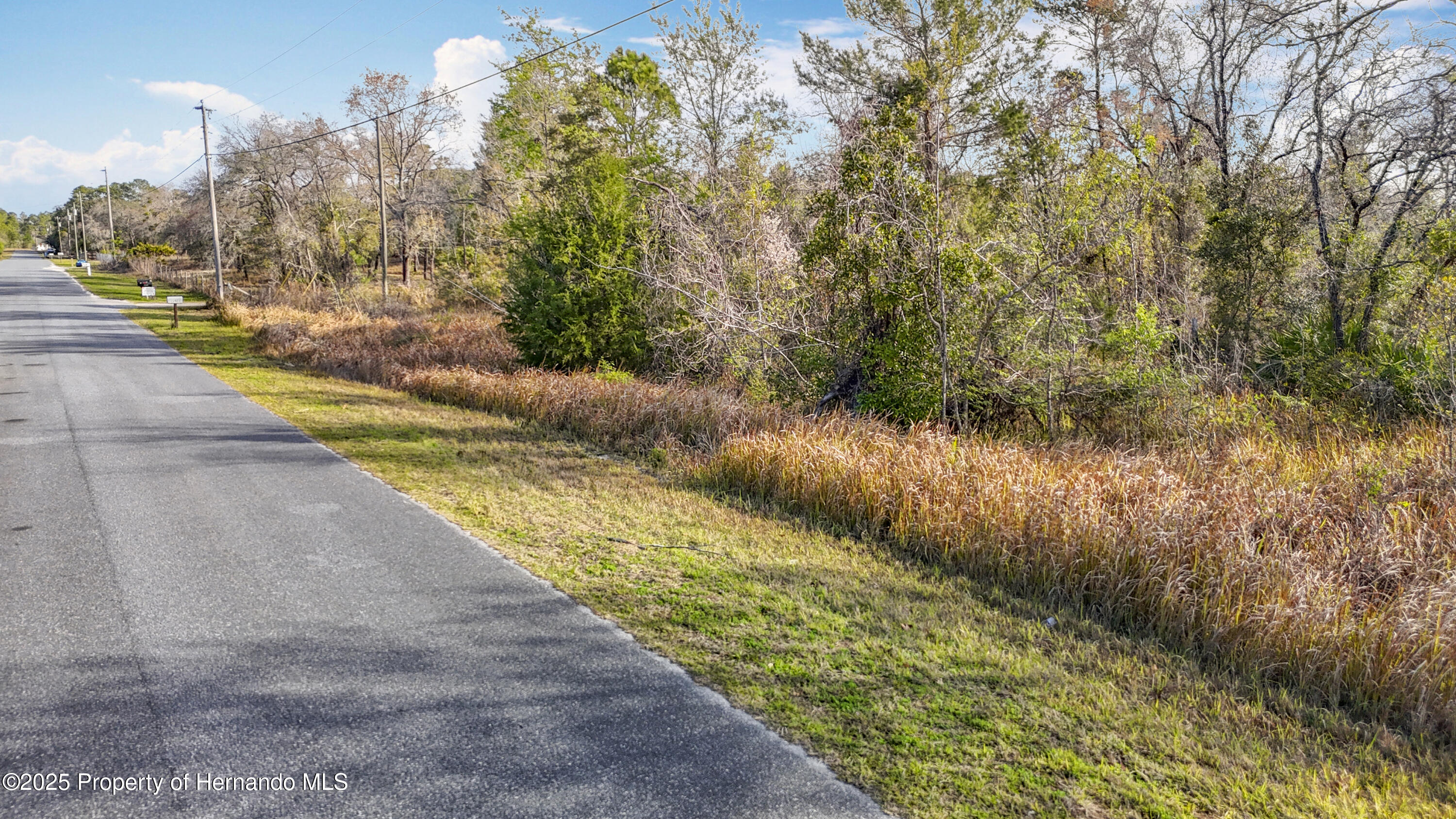 0 Maripoe Road Weeki Wachee, FL 34614 - Photo 20 of 39