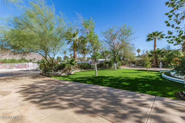 a view of a park with plants and trees