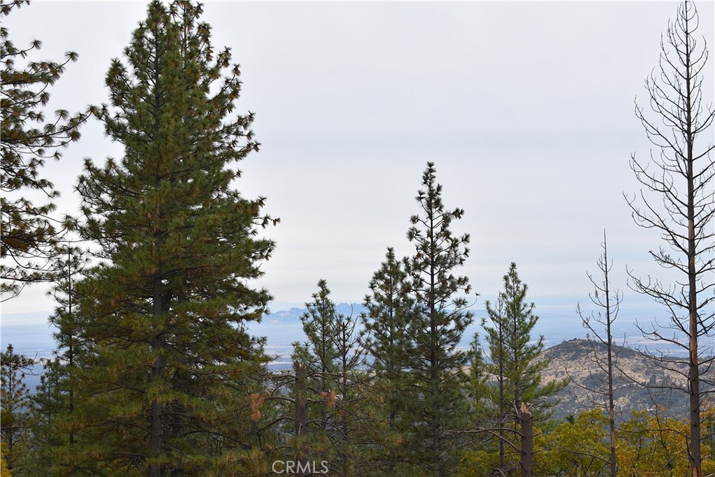 233 Renegade Road Oroville, CA 95966 - Photo 2 of 44 a picture of a tree