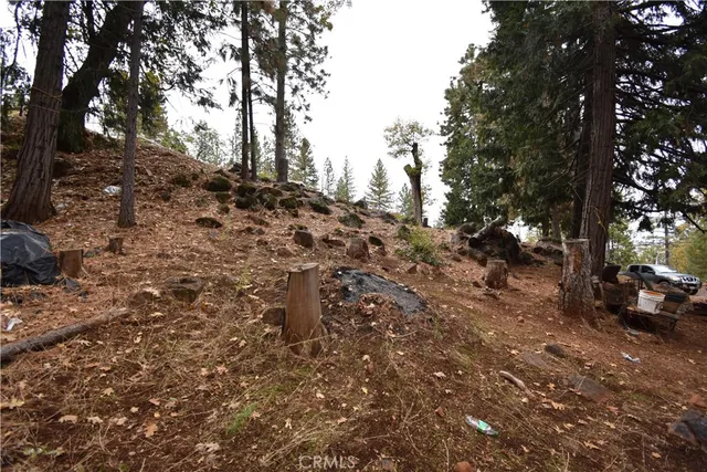 a view of outdoor space with trees