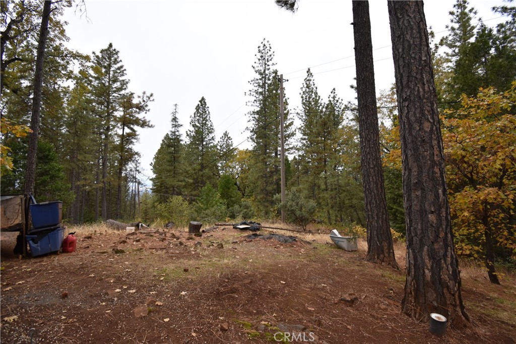 233 Renegade Road Oroville, CA 95966 - Photo 34 of 44 a view of outdoor space with trees