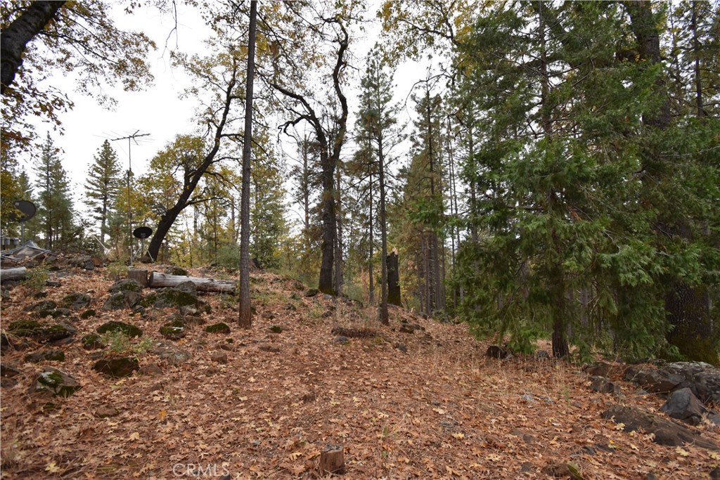 233 Renegade Road Oroville, CA 95966 - Photo 35 of 44 a view of a forest