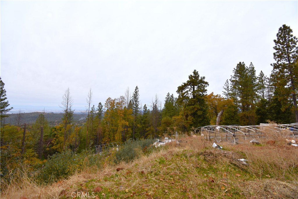 233 Renegade Road Oroville, CA 95966 - Photo 38 of 44 a view of outdoor space and trees