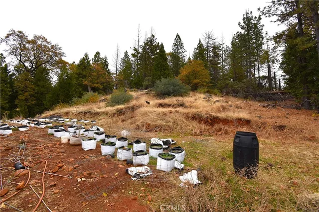a backyard of a house with a tree