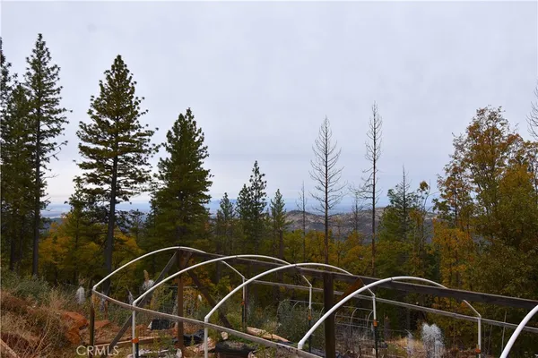 a view of a backyard with trees