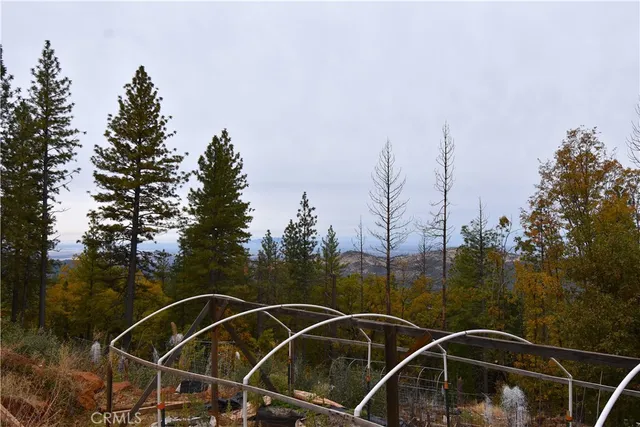 a view of a backyard with trees