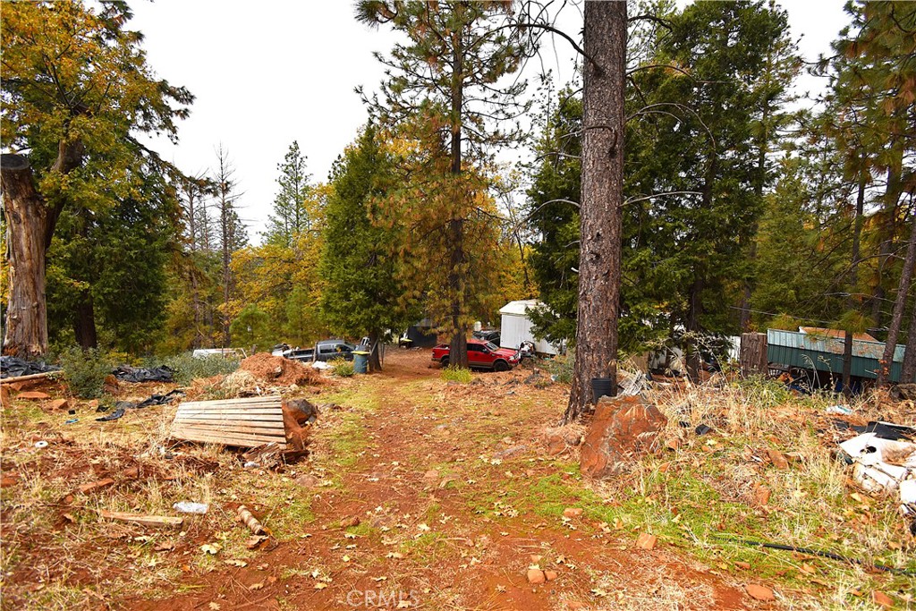 233 Renegade Road Oroville, CA 95966 - Photo 42 of 44 a backyard of a house with a tree