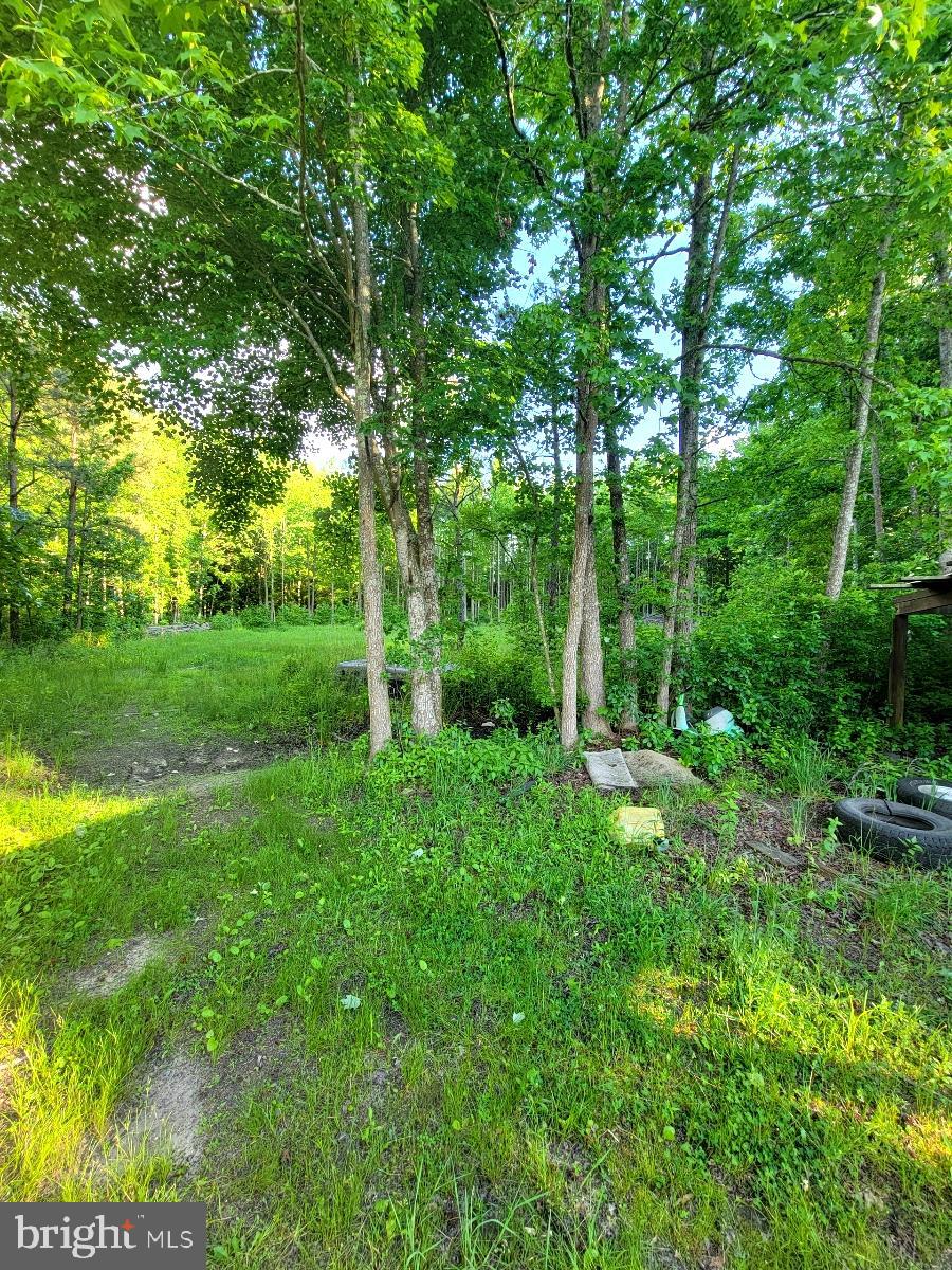 50 Newell Road Heislerville, NJ 08324 - Photo 4 of 10 Gallery Image 4